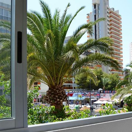 Margarita Apartment Benidorm Bagian luar foto